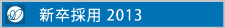 新卒採用 2013