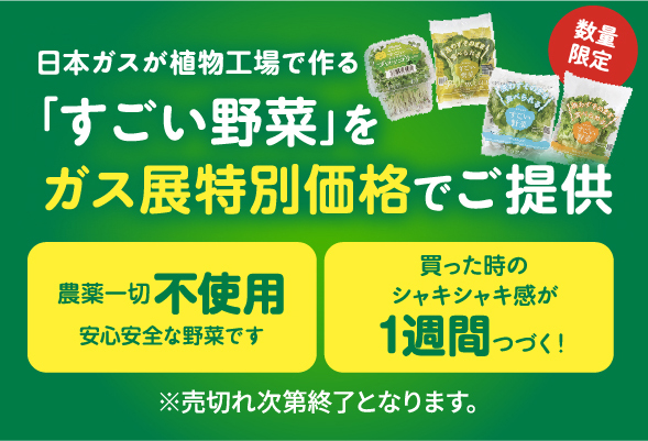 スゴイ野菜ガス展特価