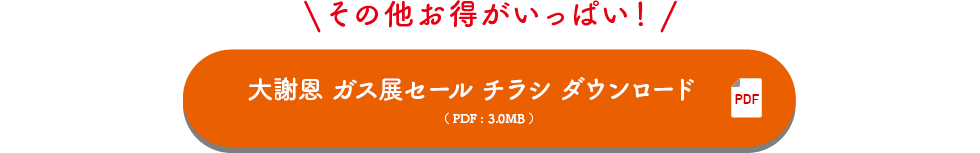 B3チラシ