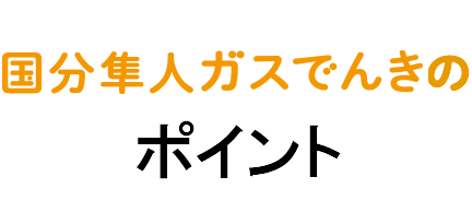 国分隼人ガスでんきのポイント