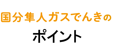 国分隼人ガスでんきのポイント