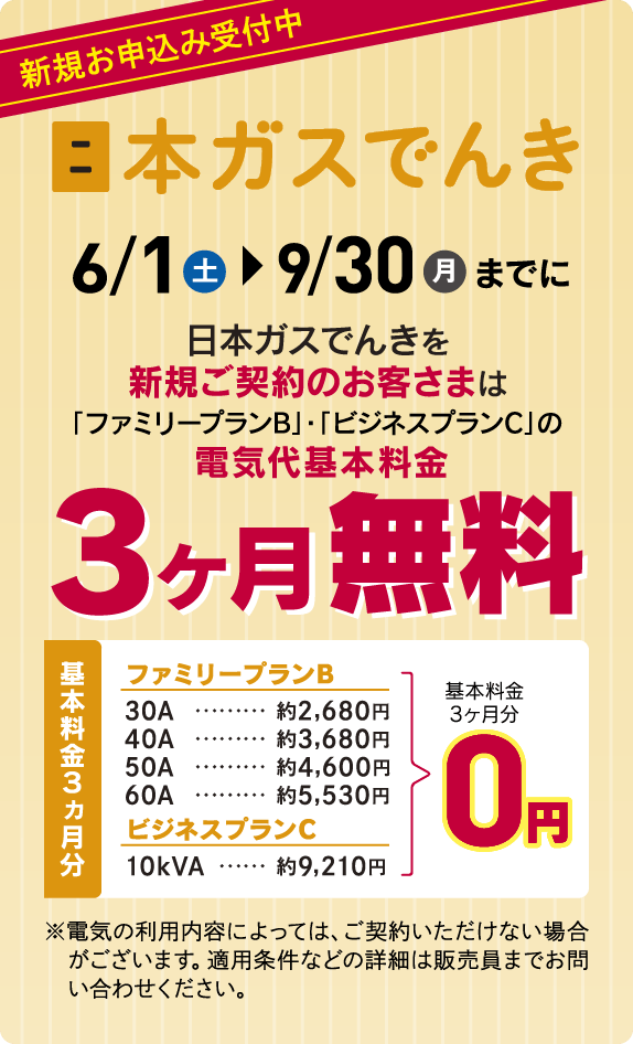 日本ガスでんき